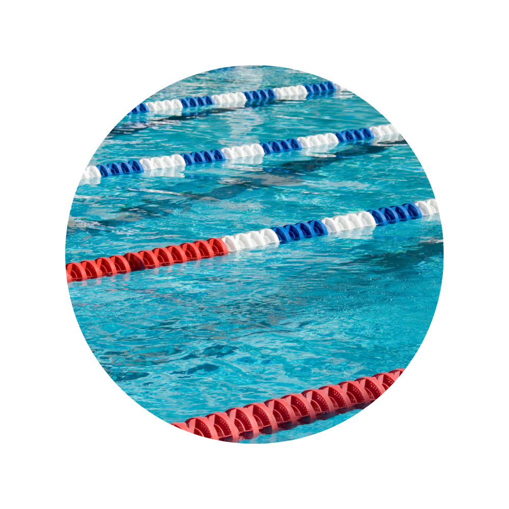 Swim/Dive Fees + Meals